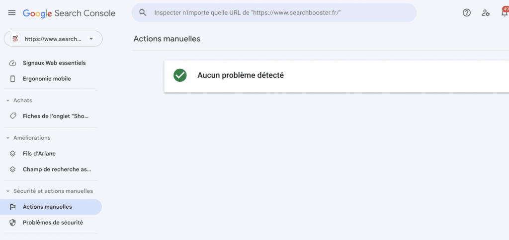 Actions manuelles SearchConsole SearchBooster