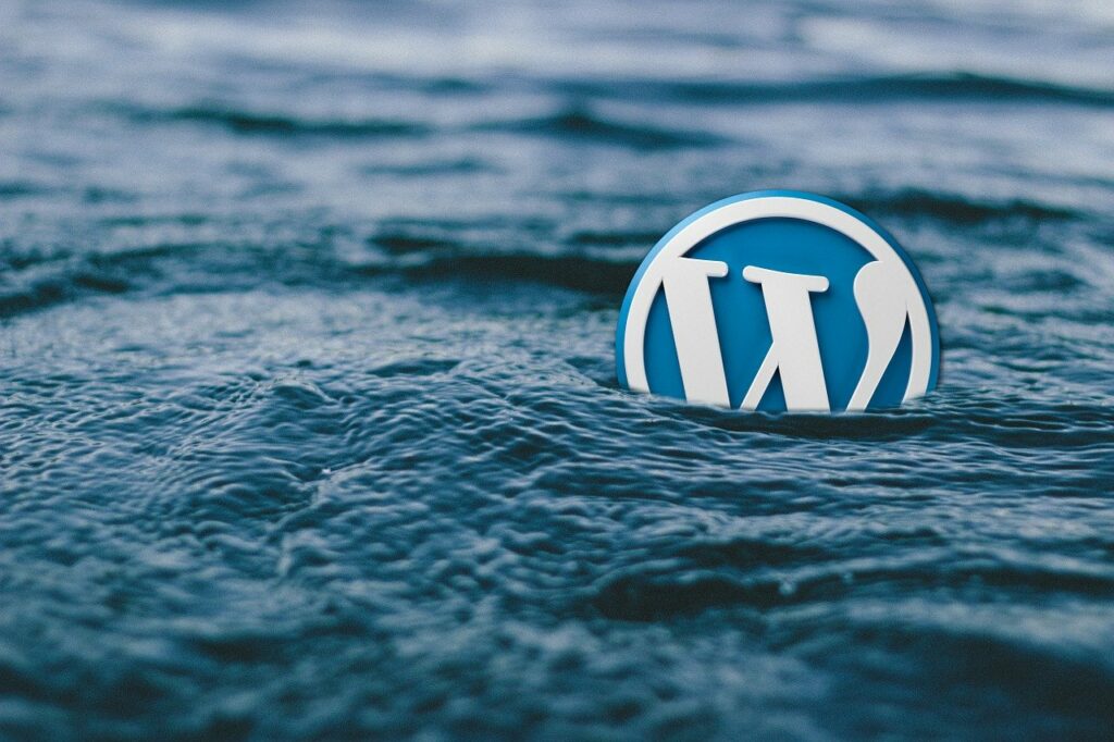 comment améliorer le référencement de son site WordPress par SearchBooster