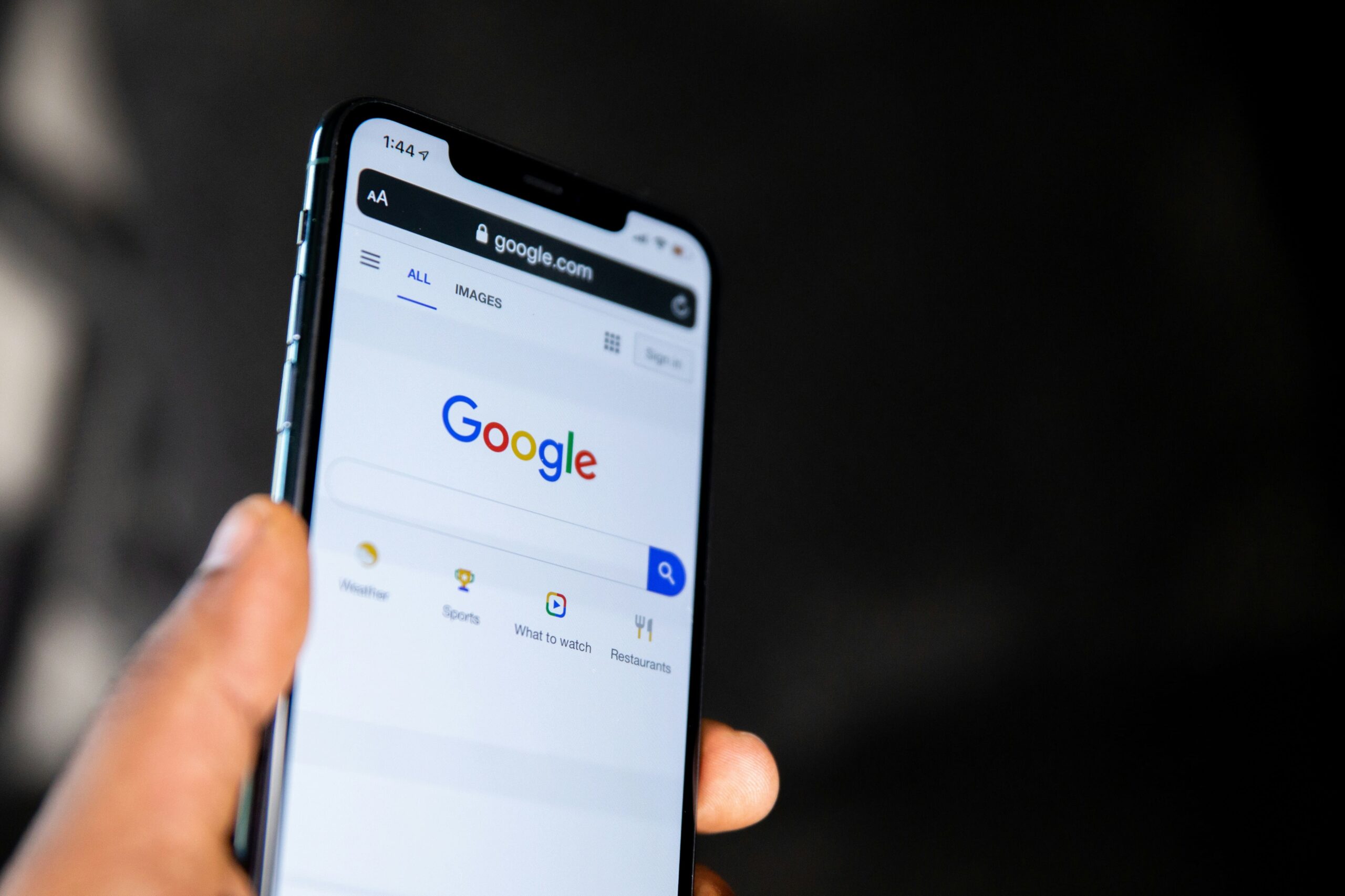 Google AI overview