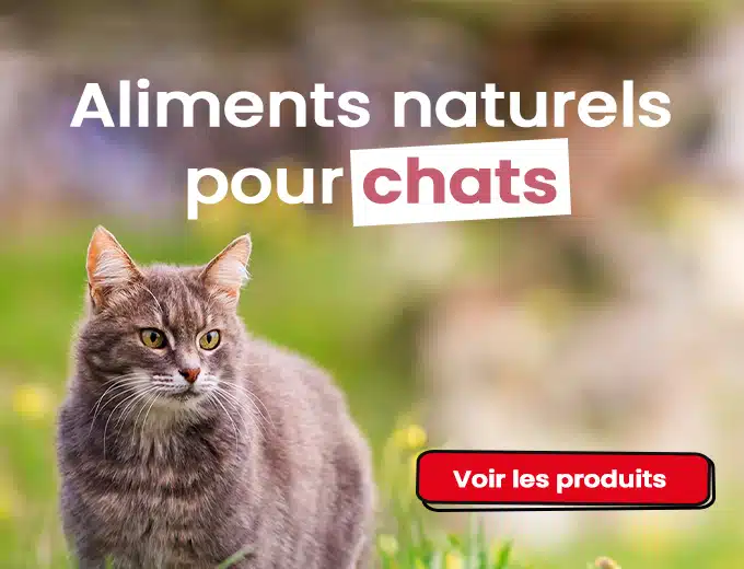 Nutrivia et searchbooster